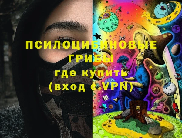 хмурый Нея