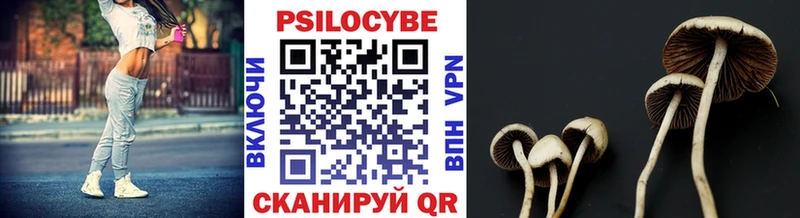 что такое   Гуково  кракен tor  Псилоцибиновые грибы Magic Shrooms 