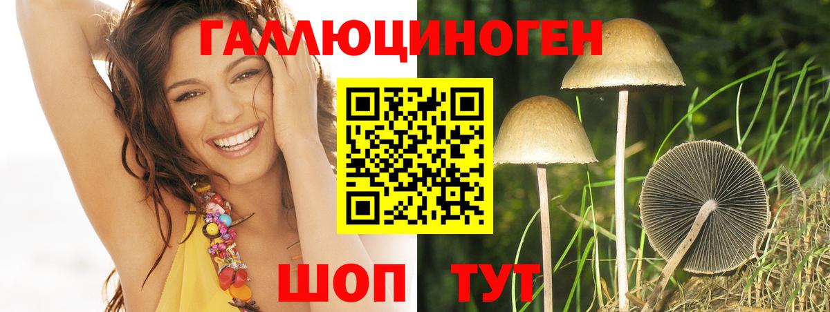 Гуково  Галлюциногенные грибы Cubensis  Вход с VPN 