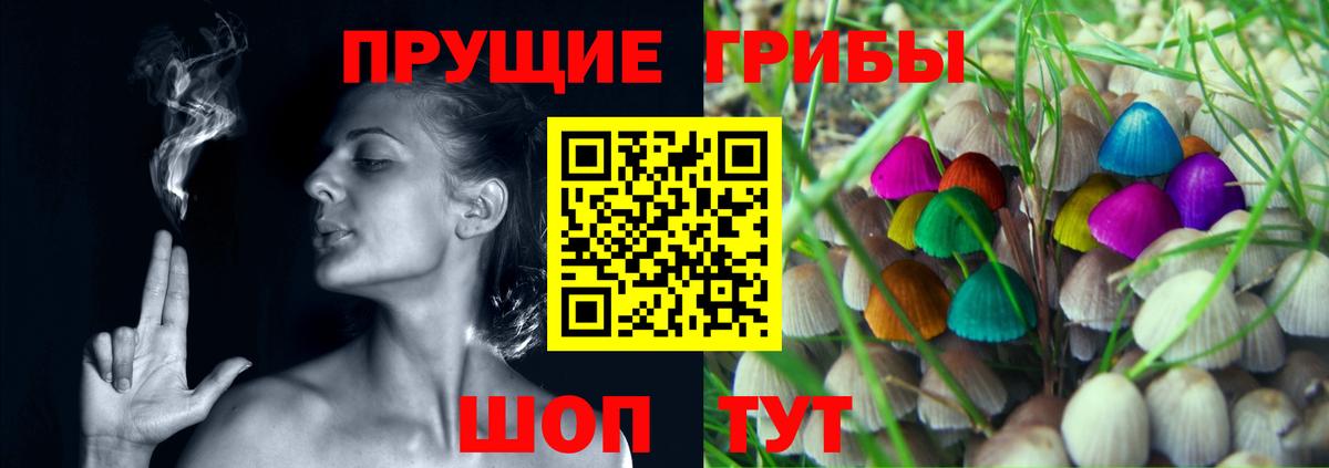 Псилоцибиновые грибы прущие грибы  Псилоцибиновые грибы MAGIC MUSHROOMS  Гуково 