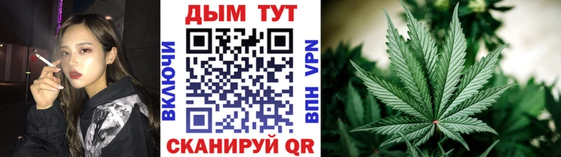 Марихуана OG Kush Гуково